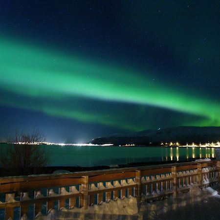 Vikran Vacation: Sea Fishing And Northern Lights Экстерьер фото