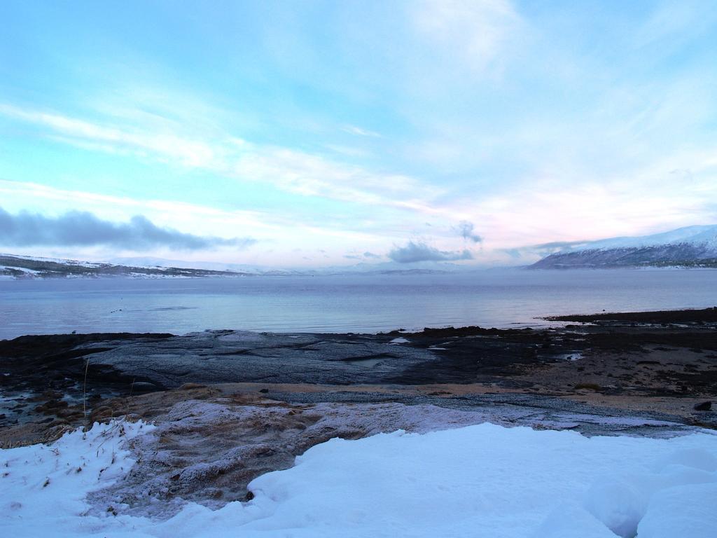 Vikran Vacation: Sea Fishing And Northern Lights Экстерьер фото