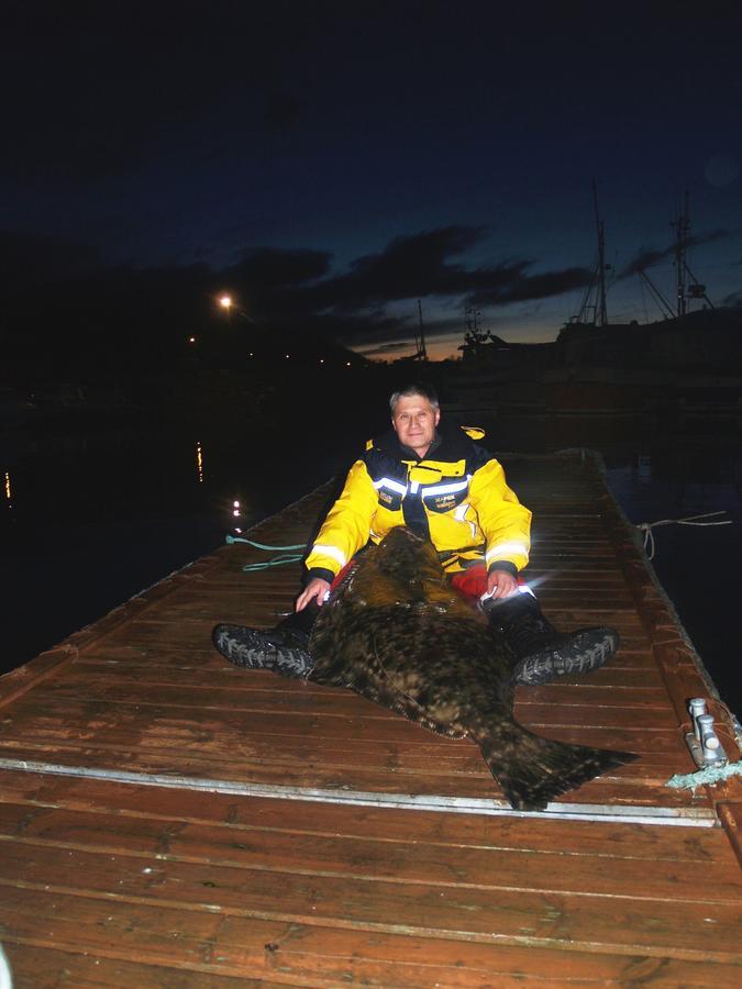 Vikran Vacation: Sea Fishing And Northern Lights Экстерьер фото
