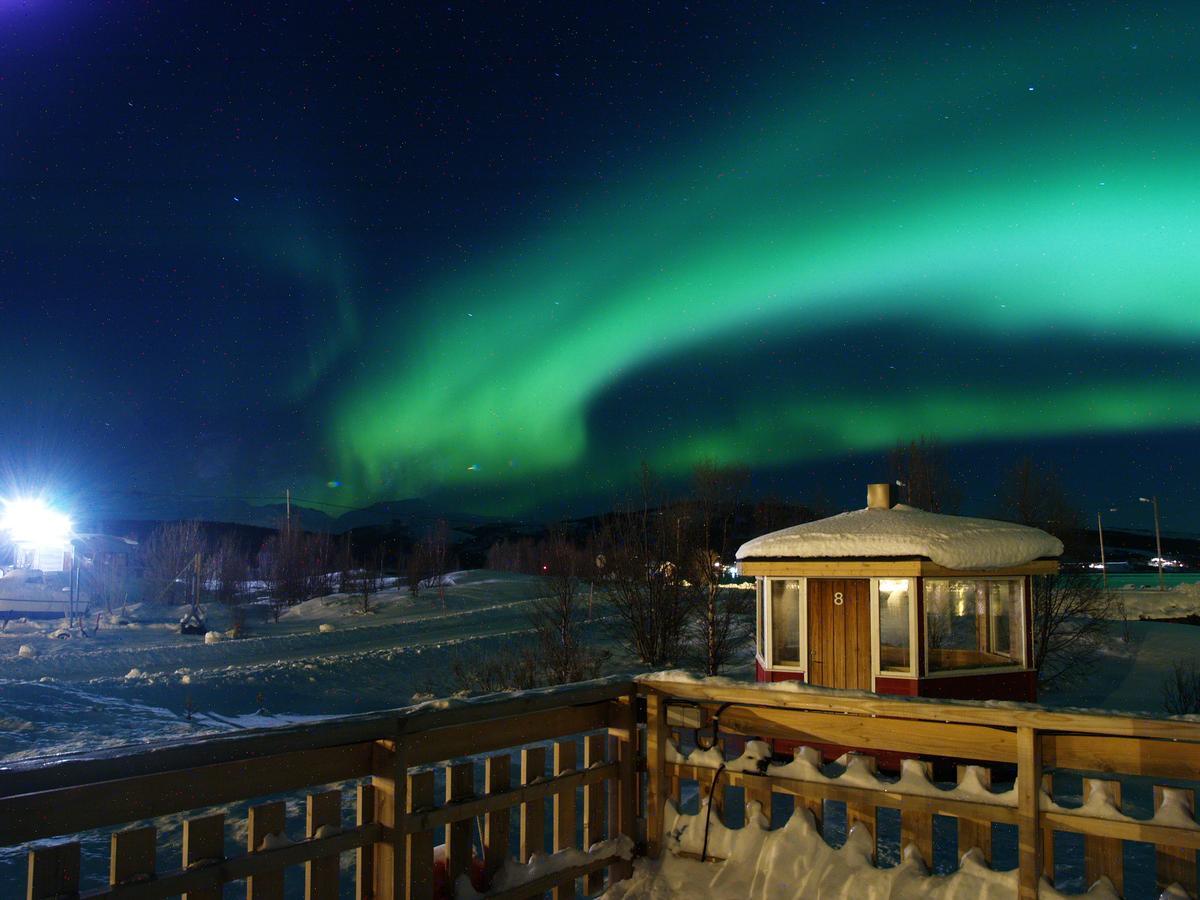 Vikran Vacation: Sea Fishing And Northern Lights Экстерьер фото
