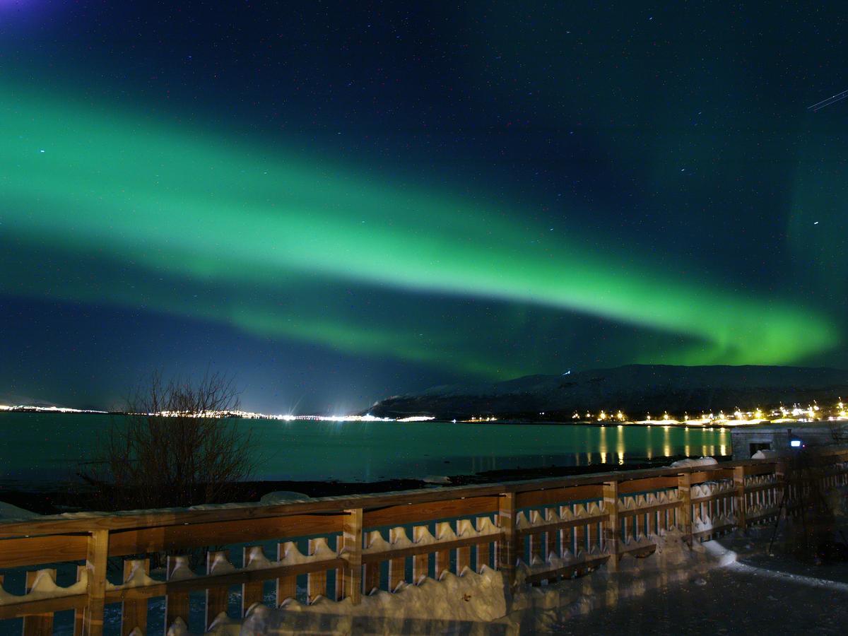Vikran Vacation: Sea Fishing And Northern Lights Экстерьер фото