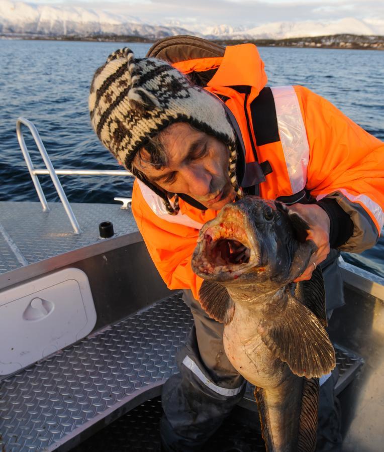 Vikran Vacation: Sea Fishing And Northern Lights Экстерьер фото
