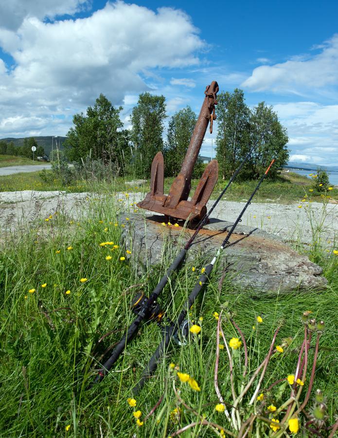 Vikran Vacation: Sea Fishing And Northern Lights Экстерьер фото