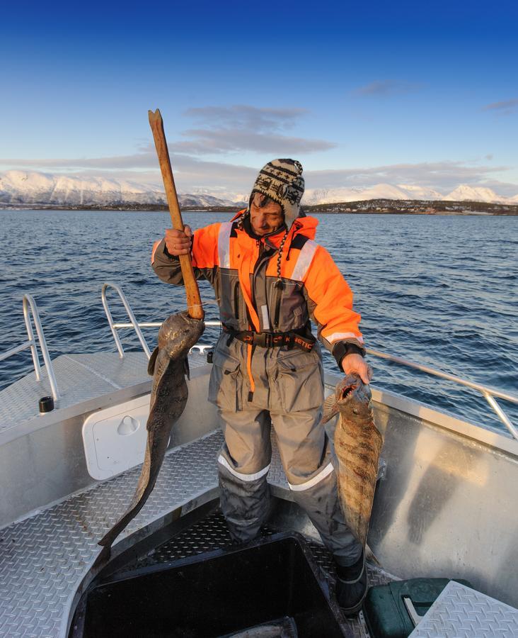 Vikran Vacation: Sea Fishing And Northern Lights Экстерьер фото