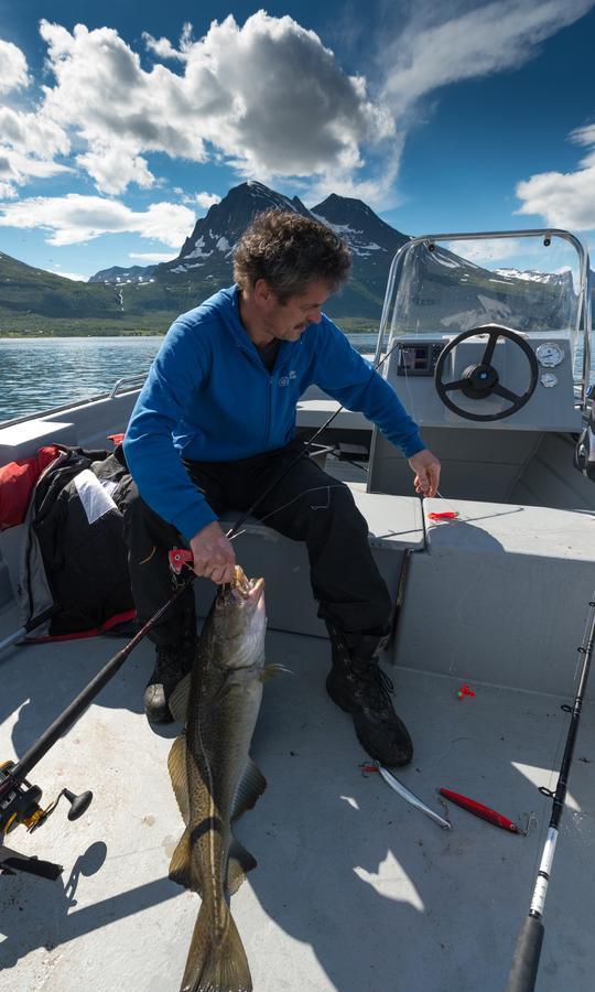 Vikran Vacation: Sea Fishing And Northern Lights Экстерьер фото