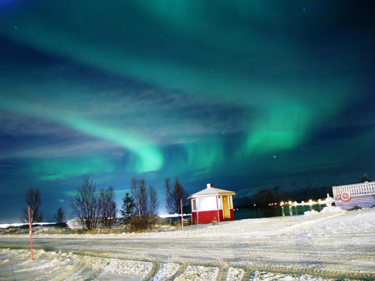 Vikran Vacation: Sea Fishing And Northern Lights Экстерьер фото