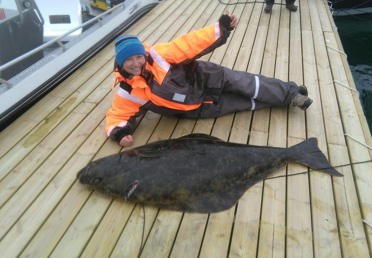 Vikran Vacation: Sea Fishing And Northern Lights Экстерьер фото