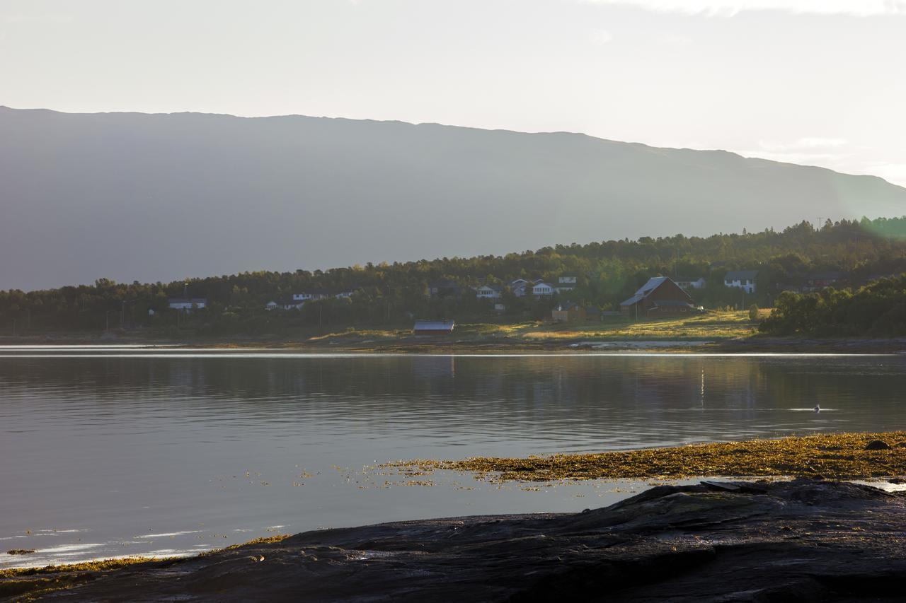 Vikran Vacation: Sea Fishing And Northern Lights Экстерьер фото