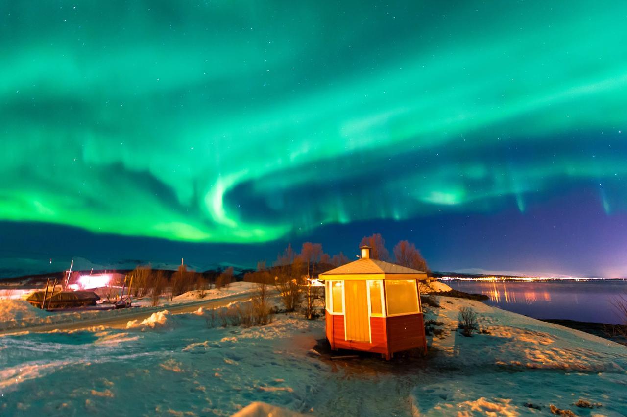 Vikran Vacation: Sea Fishing And Northern Lights Экстерьер фото